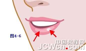 Illustrator鼠绘教程:插画人物系列之清纯美女的绘制_中国教程网