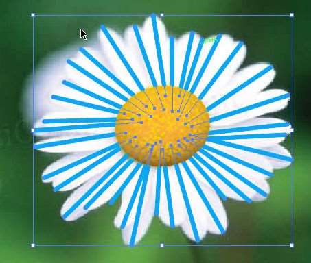AI绘制漂亮花卉 优图宝 AI实例教程