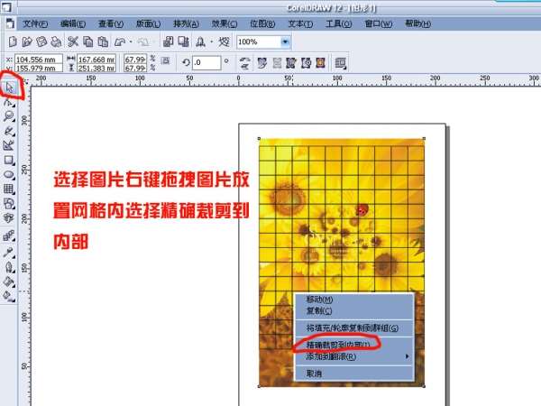 cdr任意拆分图片或矢量图形 优图宝 cdr使用技巧