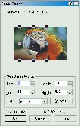 CorelDRAW 导入时Crop（修剪）位图 优图宝 CorelDraw入门教程