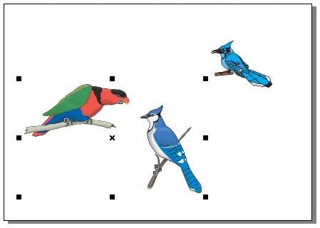 CorelDRAW 选取及填充对象 优图宝 CorelDraw入门教程