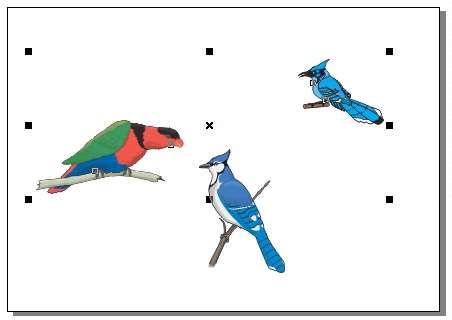 CorelDRAW 选取及填充对象 优图宝 CorelDraw入门教程