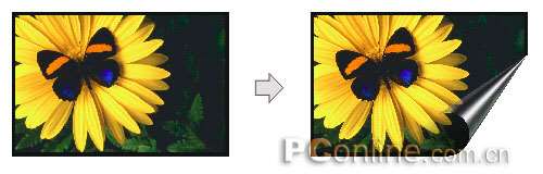 CorelDRAW 12循序渐进-应用滤镜 优图宝 CorelDraw入门教程