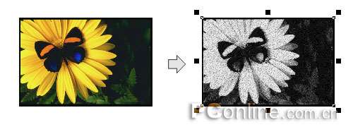 CorelDRAW 12循序渐进-应用滤镜 优图宝 CorelDraw入门教程