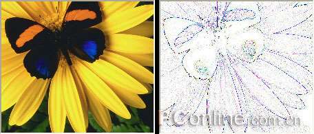 CorelDRAW 12循序渐进-应用滤镜 优图宝 CorelDraw入门教程