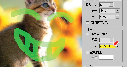 从菜鸟到高手！Photoshop抠图全方位攻略