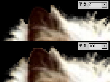 从菜鸟到高手！Photoshop抠图全方位攻略