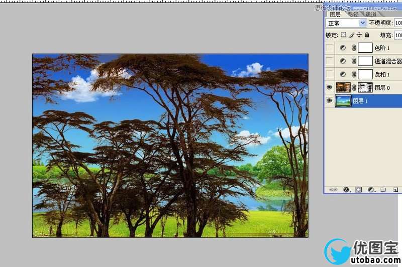 Photoshop快速抠出复杂的树木并换背景,PS教程,16xx8.com教程网