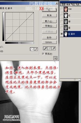 实例讲解PS通道抠图的方法和技巧