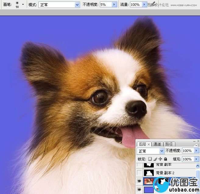 Photoshop使用通道混合器给狗狗抠图,PS教程,16xx8.com教程网