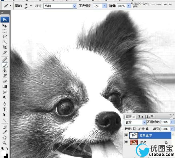 Photoshop使用通道混合器给狗狗抠图,PS教程,16xx8.com教程网
