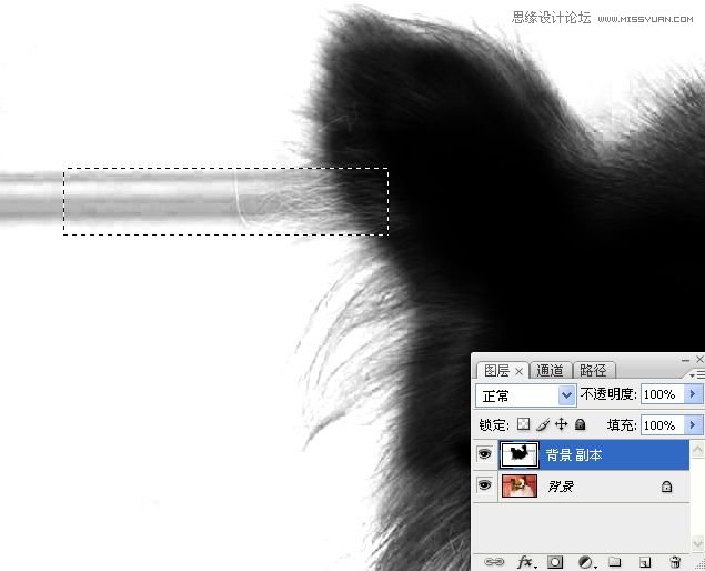 Photoshop使用通道混合器给狗狗抠图,PS教程,16xx8.com教程网