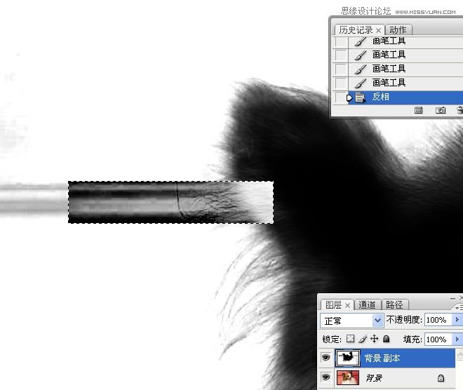 Photoshop使用通道混合器给狗狗抠图,PS教程,16xx8.com教程网