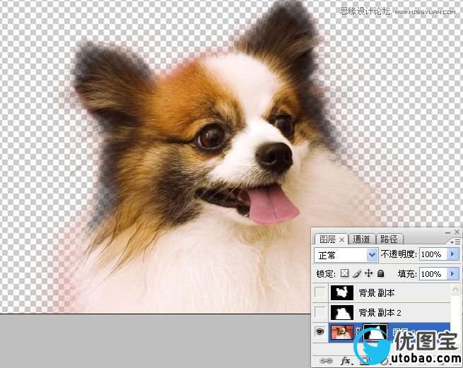 Photoshop使用通道混合器给狗狗抠图,PS教程,16xx8.com教程网