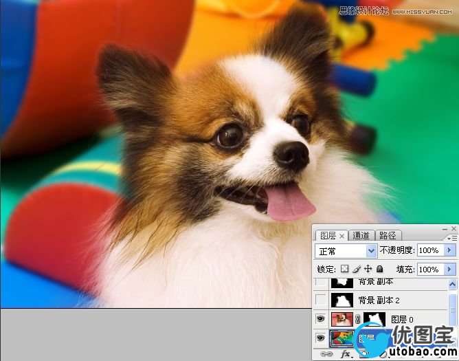 Photoshop使用通道混合器给狗狗抠图,PS教程,16xx8.com教程网