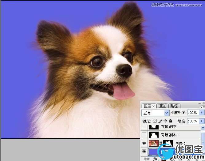 Photoshop使用通道混合器给狗狗抠图,PS教程,16xx8.com教程网