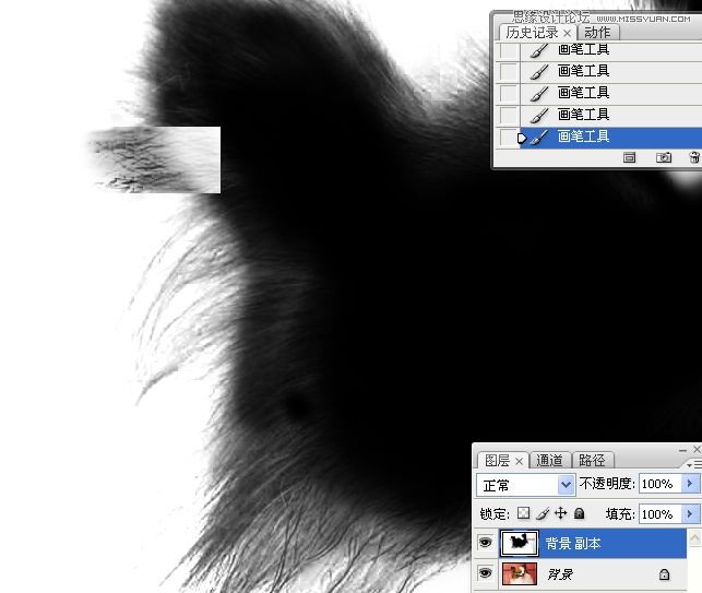 Photoshop使用通道混合器给狗狗抠图,PS教程,16xx8.com教程网