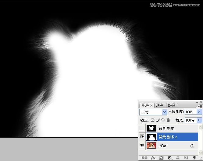 Photoshop使用通道混合器给狗狗抠图,PS教程,16xx8.com教程网