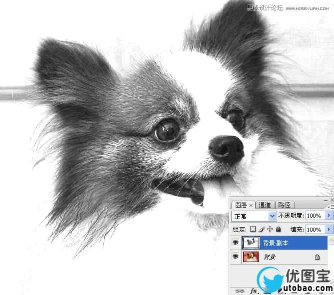 Photoshop使用通道混合器给狗狗抠图,PS教程,16xx8.com教程网