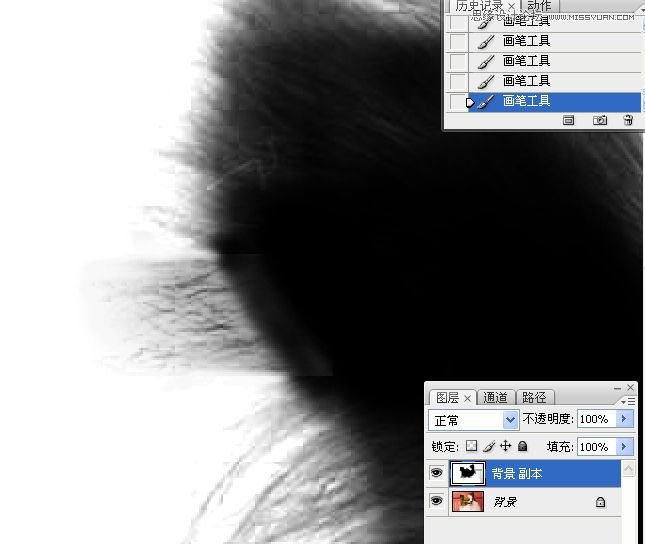 Photoshop使用通道混合器给狗狗抠图,PS教程,16xx8.com教程网