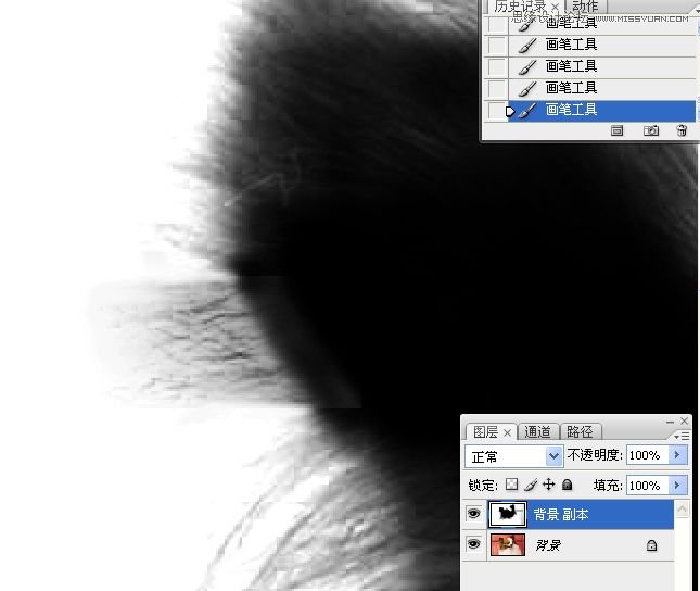 Photoshop使用通道混合器给狗狗抠图,PS教程,16xx8.com教程网