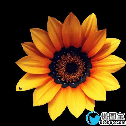 PS抠图-用滤镜抽出一步抠出简单图片