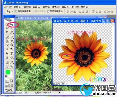 PS抠图-用滤镜抽出一步抠出简单图片