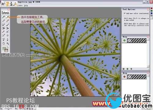 Photoshop抠图教程：Mask pro 4.11抠图使用教程,PS教程,思缘教程网