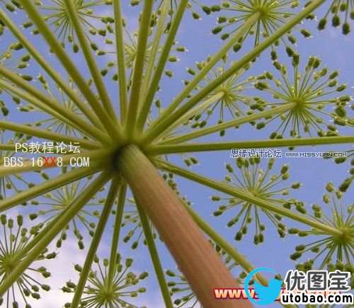 Photoshop抠图教程：Mask pro 4.11抠图使用教程,PS教程,思缘教程网