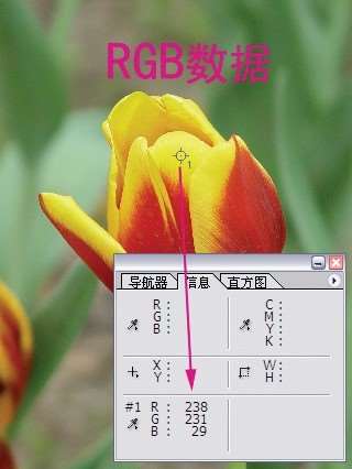 选择与通道之谜