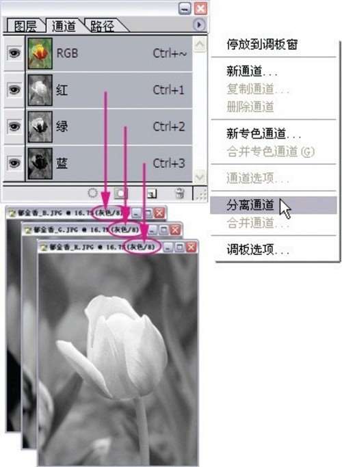 选择的艺术 从入门到精通深度剖析PS通道