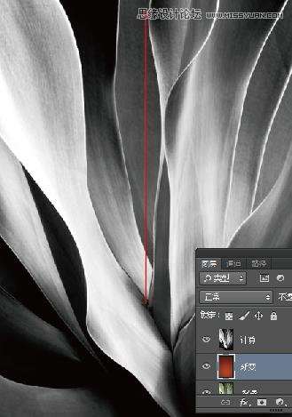 Photoshop使用计算工具调出别致的颜色