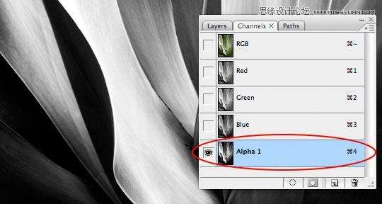 Photoshop使用计算工具调出别致的颜色