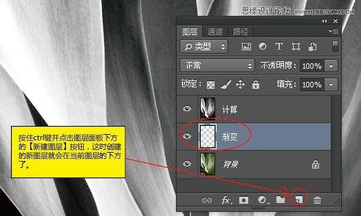 Photoshop使用计算工具调出别致的颜色