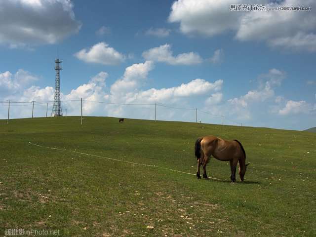 如何用Lightroom让照片高光层次更丰富,52photoshop教程