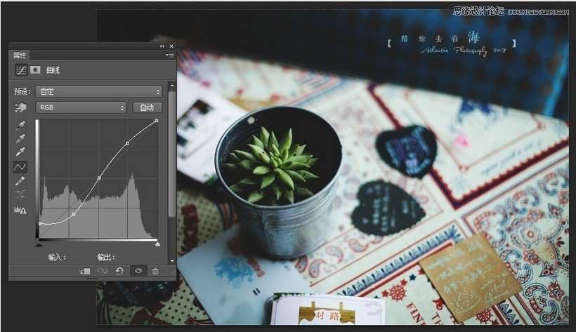 Photoshop调出办公室盆栽质感色调,52photoshop教程
