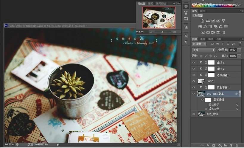 Photoshop调出办公室盆栽质感色调,52photoshop教程