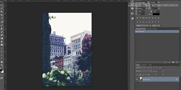 Photoshop巧用照片配色方案创建色板教程,52photoshop教程