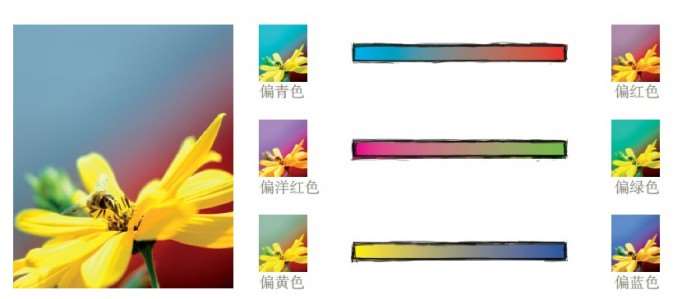 编辑色调和色彩:色彩