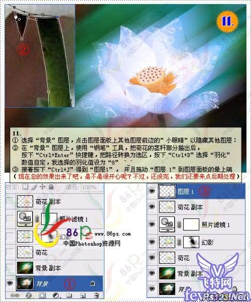 巧用滤镜打造梦幻荷花 优图宝网 PS滤镜教程