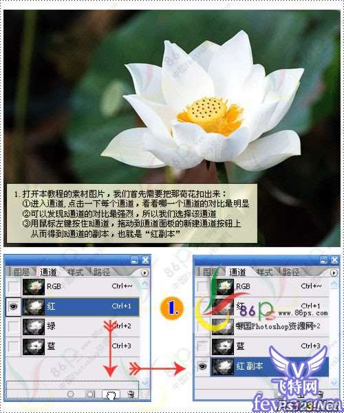 巧用滤镜打造梦幻荷花 优图宝网 PS滤镜教程