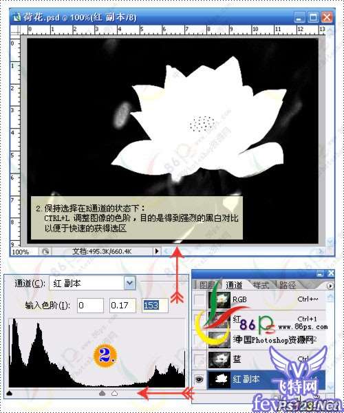 巧用滤镜打造梦幻荷花 优图宝网 PS滤镜教程