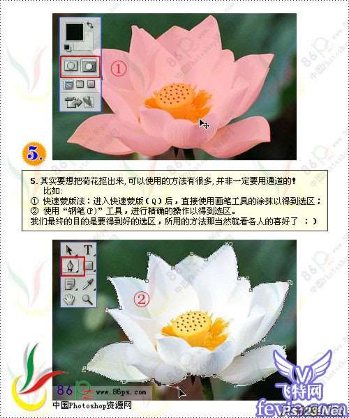 巧用滤镜打造梦幻荷花 优图宝网 PS滤镜教程