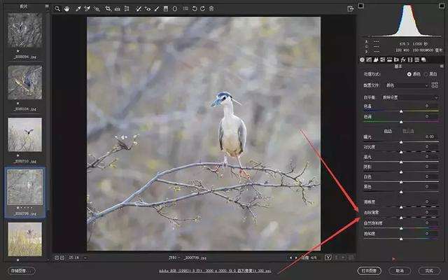 PSCC2018 Camera Raw10.3版本全新上线，你升级了吗？