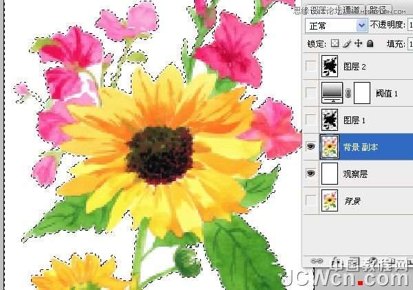 Photoshop给花朵照片制作成十字绣效果,52photoshop教程