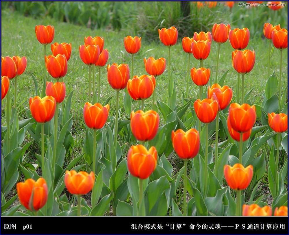 Photoshop详细实例解析计算命令的原理 三联
