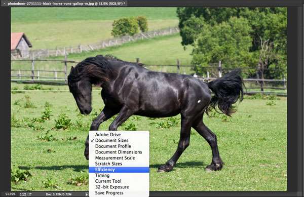 超强技术贴!让PHOTOSHOP运行速度变快的10个技巧 b60e9c075e82762f6654e34a4c7ecdd7 超强技术贴!让PHOTOSHOP运行速度变快的10个技巧
