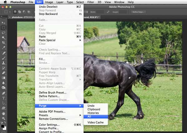 超强技术贴!让PHOTOSHOP运行速度变快的10个技巧 7387ffc2303140ca1ce034e49eca8c56 超强技术贴!让PHOTOSHOP运行速度变快的10个技巧