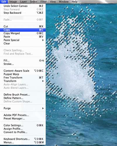 quick selection tool in photoshop 7 Photoshop中的5个快速选择工具