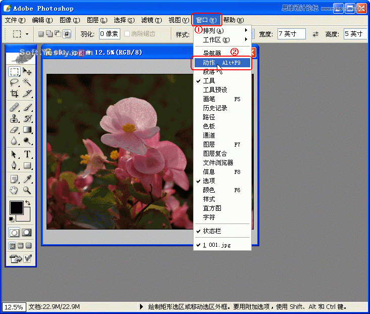 Photoshop巧用动作按比例自动批量裁剪照片,52photoshop教程